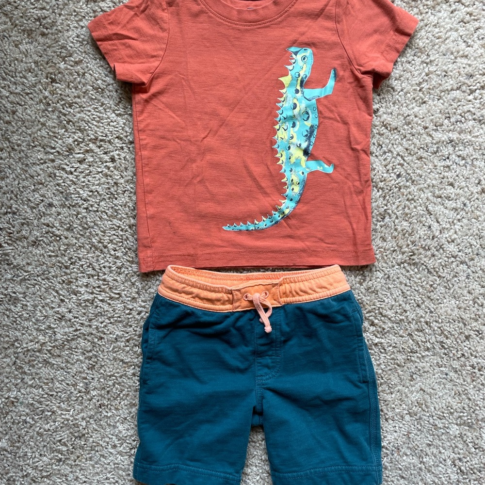 Tea Collection Lizard Shirt and Shorts set